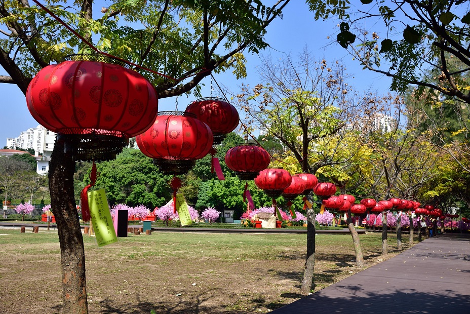 賀年花展賞燈步道-參考相片