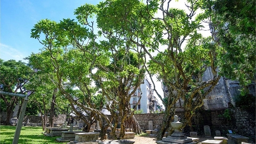 Planning around nature