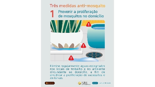 (Infografia)  Prevenção da febre chikungunya: conhecer as características dos sintomas e implementar as “três medidas anti-mosquito”