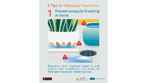 【Infographic】Guard against chikungunya fever: Be aware of signs and symptoms, follow the “3 Tips for Mosquito Prevention”