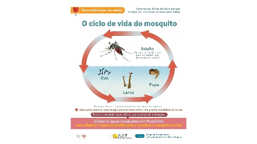 Serviços de Saúde apelam aos residentes para tomarem medidas contínuas no Inverno para prevenir a proliferação de mosquitos Aedes Albopictus e de Culex