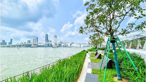 南岸海滨绿廊二期二区今起开放使用