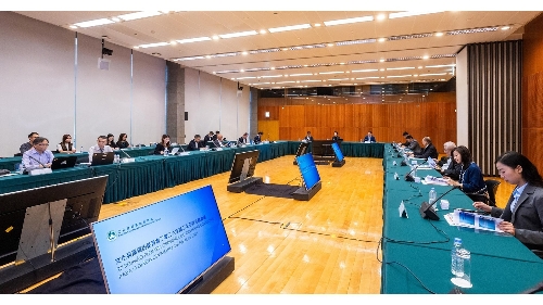 文化发展咨询委员会举行全体会议