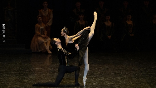 Bailado O Lago dos Cisnes pelo Ballet de Xangai irá deslumbrar no “36º Festival de Artes de Macau” com corps de ballet com o dobro do tamanho habitual  Produções locais A Velha Casa das Orquídeas e A Noite de Zheng Guanying regressam aos palcos