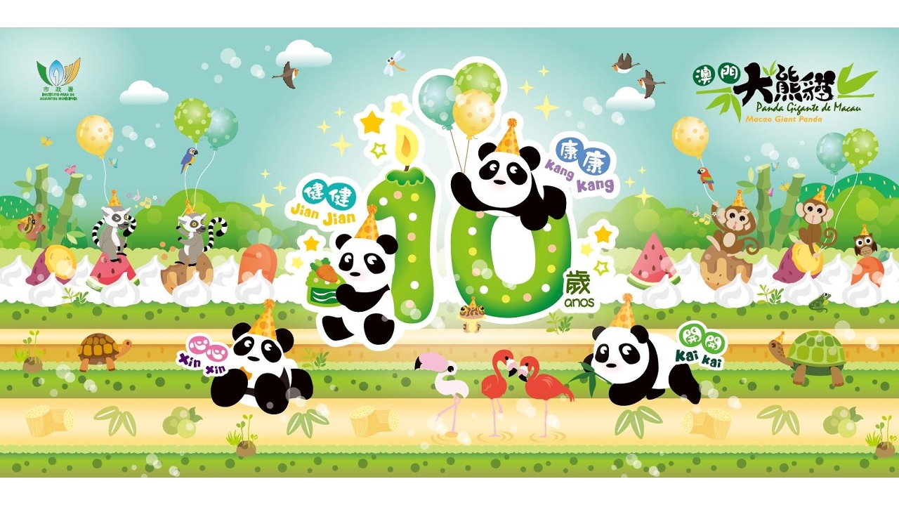 大熊貓「健健」、「康康」10歲生日會下周五石排灣郊野公園舉行