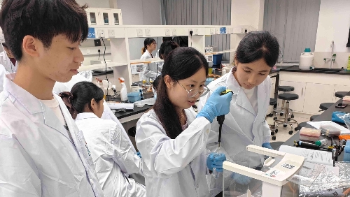 UM hosts over 30 summer camps and training courses