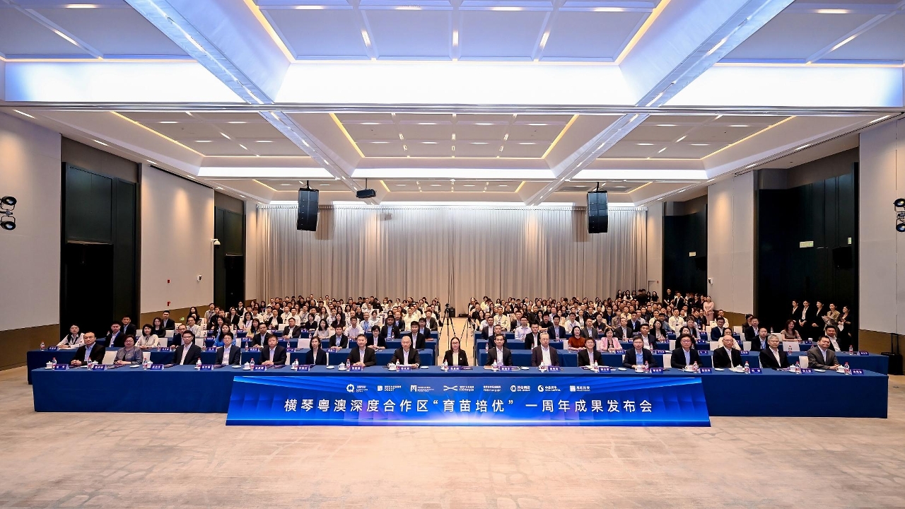 横琴“育苗培优”计划周年成绩单出炉！