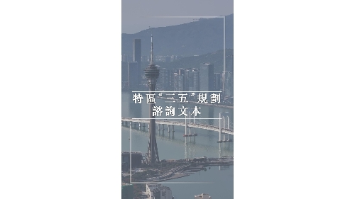 特區“三五”規劃‧諮詢文本