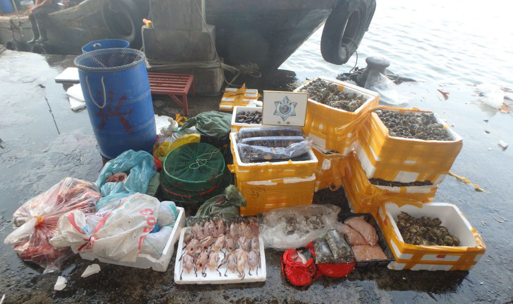 海關與民政總署檢獲逾八百公斤走私海產