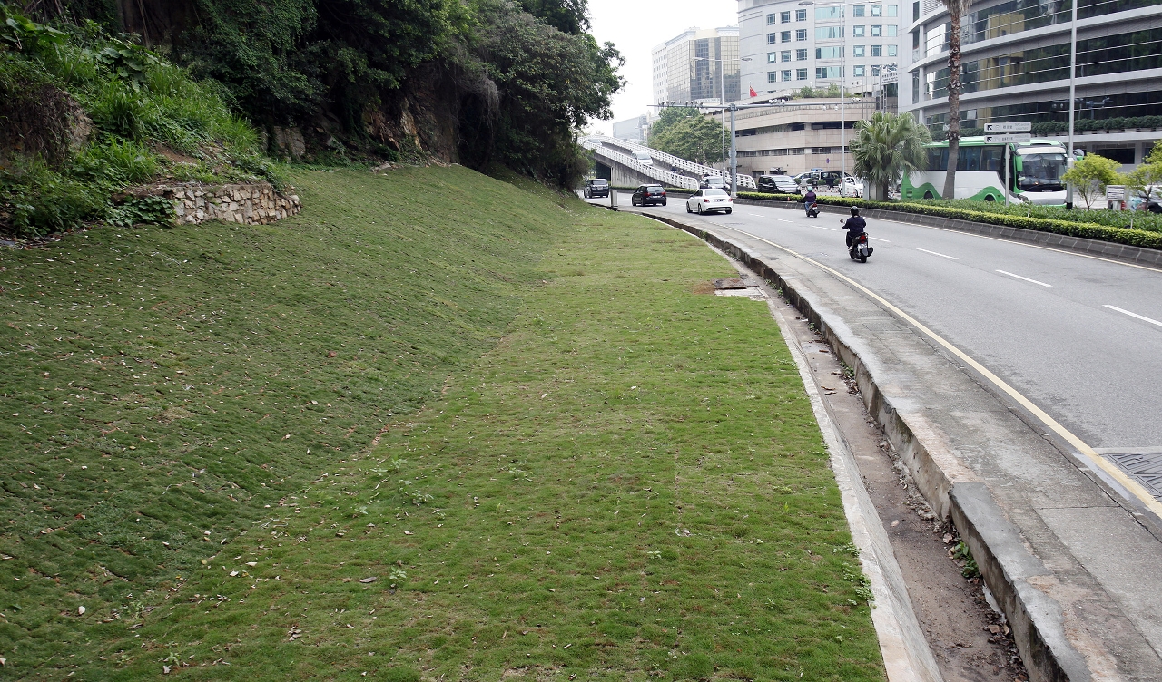 Os terrenos recuperados foram nivelados e aí construídos espaços verdes.