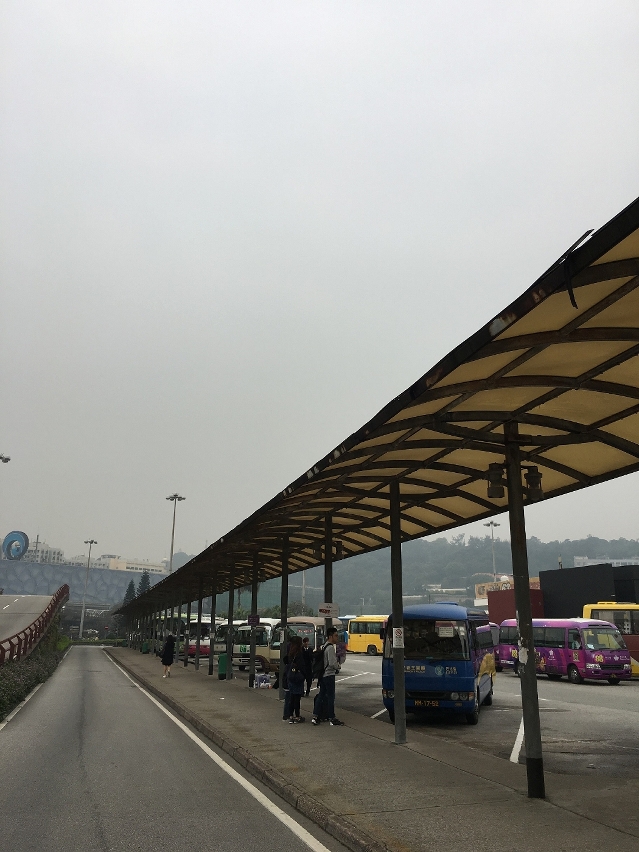 港澳碼頭前旅遊巴士泊車區遮陽篷開展維修工程