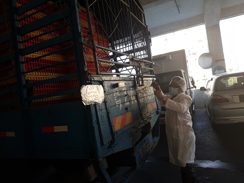 民署檢疫人員核對運載活禽車輪資料