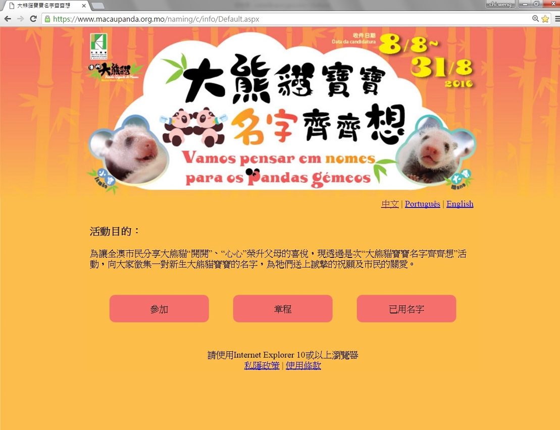 大熊貓寶寶名字齊齊想