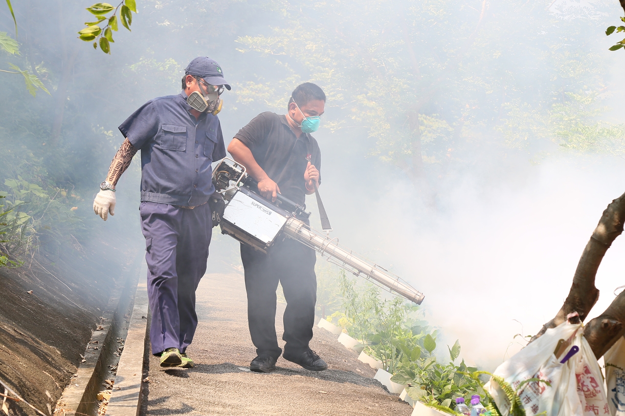 Os Serviços de Saúde continuam a reforçar a eliminação de mosquitos para prevenir a doença por vírus de zika e febre de dengue.