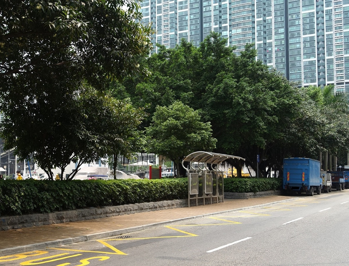 As carreiras de autocarros n.os 3X e 4 farão escala na nova paragem “Lam Mau/Clube Náutico de Macau”