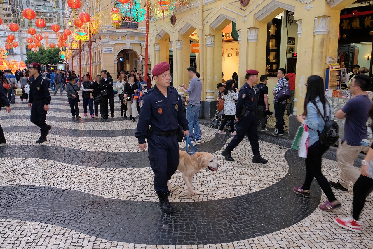 警犬隊在旅遊旺區巡邏