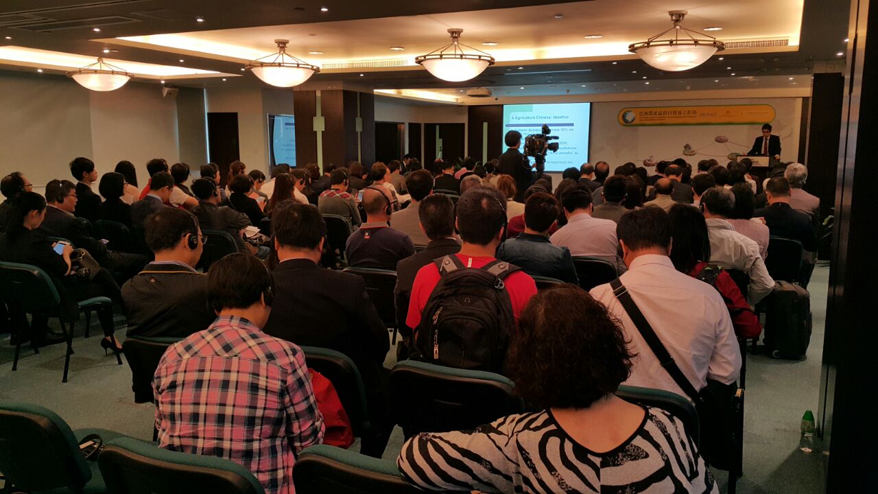 Workshop em curso