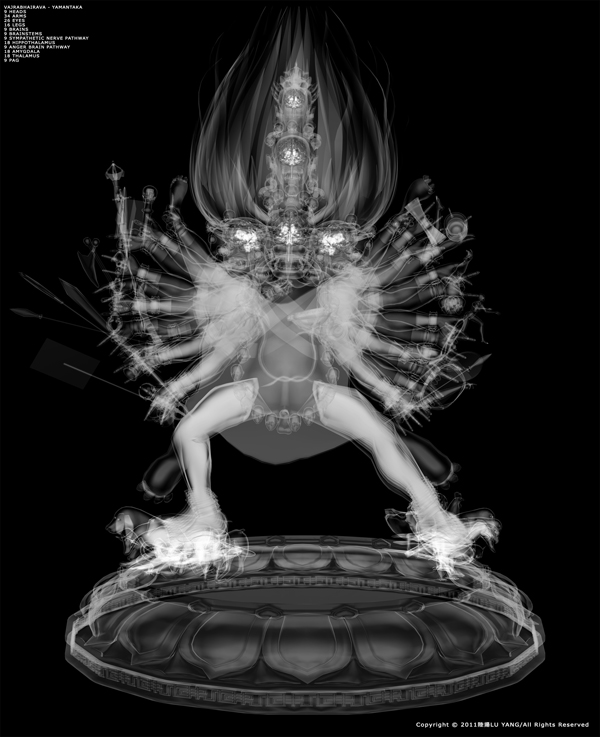 作者:陸揚	作品:忿怒金剛-X光版 (3D動畫)