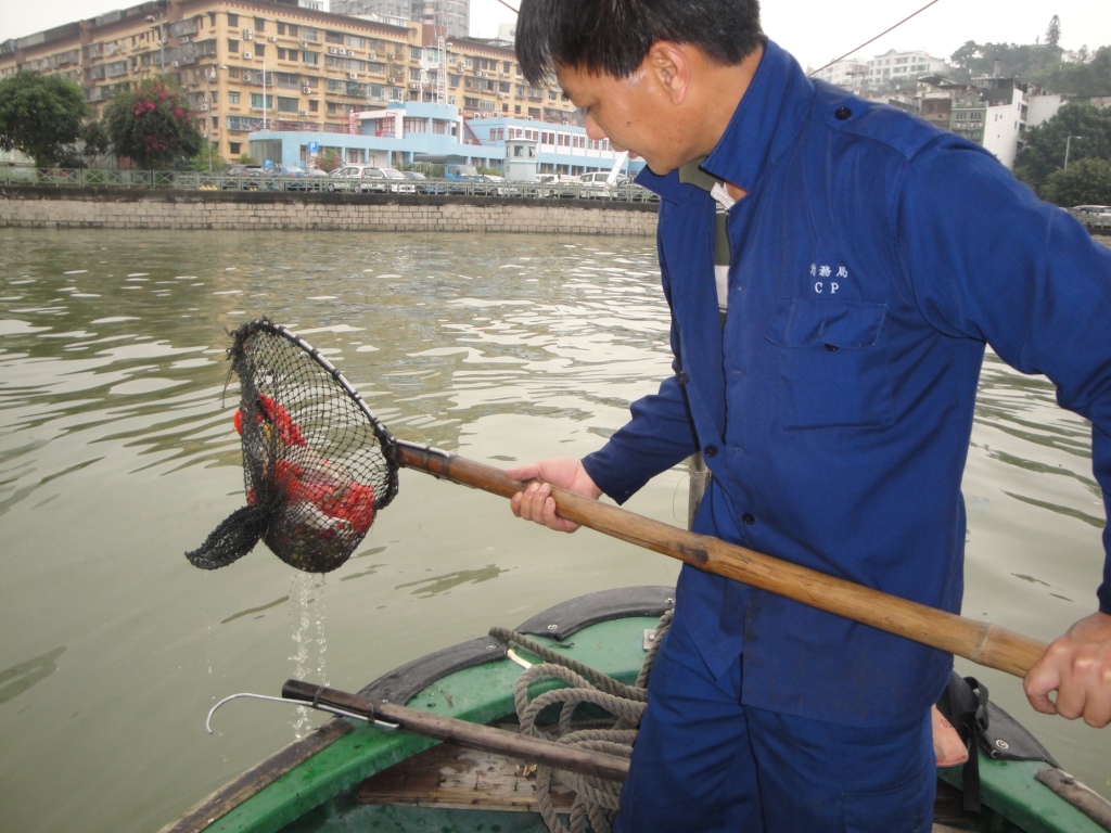 港務局派出船隊及人員清理海面垃圾1