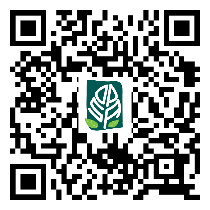 código qr do relatório do estado do ambiente de macau 2019