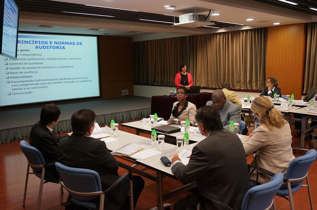 A auditora coordenadora Maria da Luz Faria durante uma apresentação de técnicas de auditoria financeira.