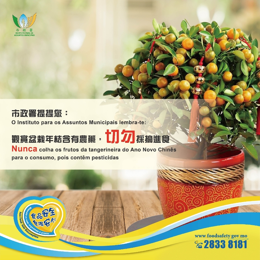 市政署提提您:觀賞盆栽年桔含有農藥，切勿採摘進食。