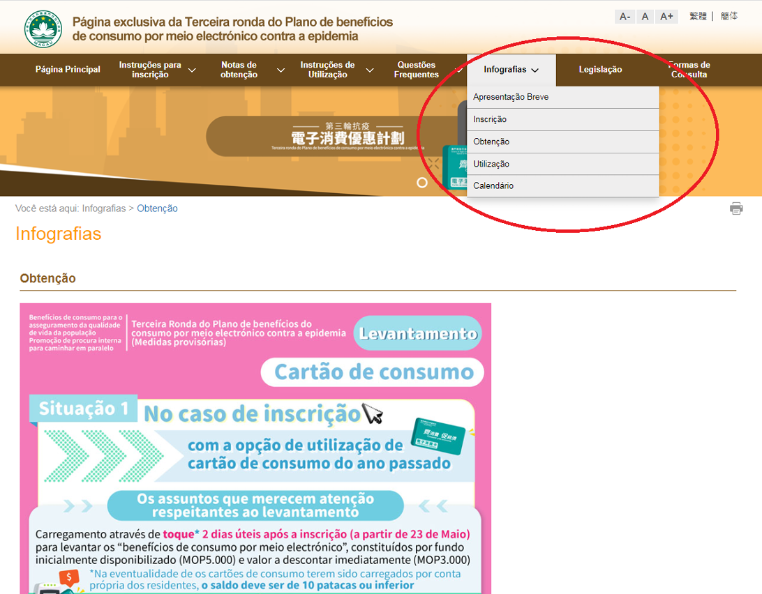 Infografias disponíveis na “página electrónica temática”