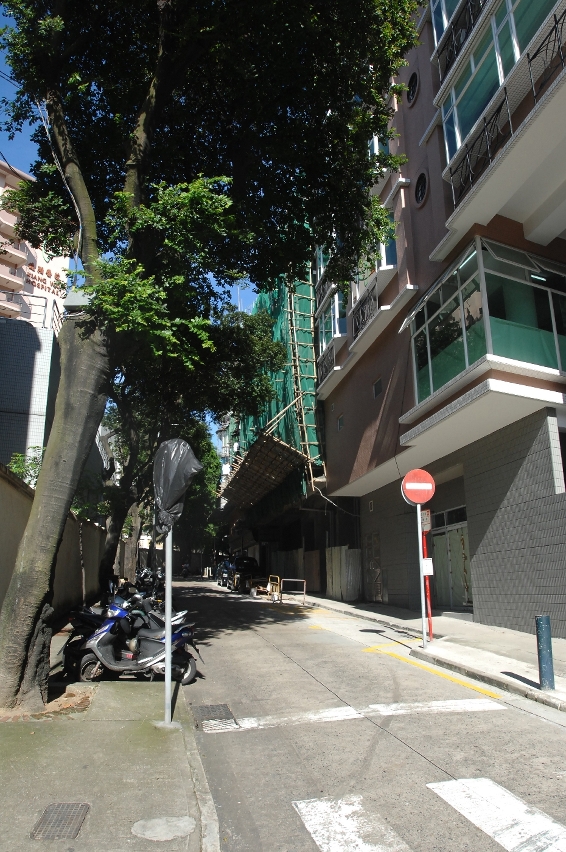 新勝街一段星期二起臨時封閉,禁止車輛通行