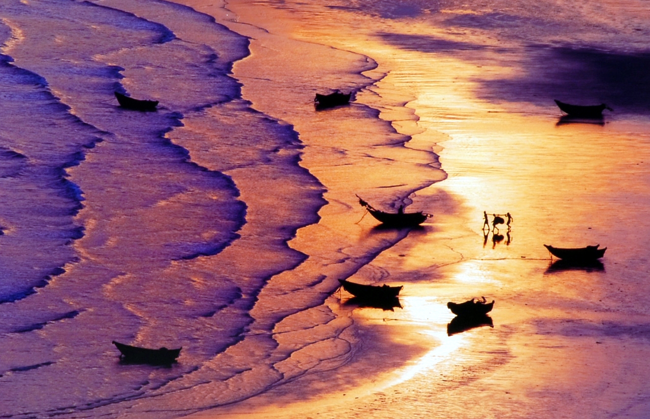 劉秋伊, 作品金色港灣