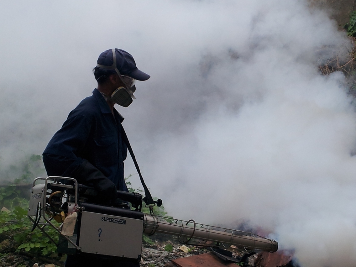Os Serviços de Saúde reforçaram a extinção de mosquitos nos locais com maior infestação de mosquitos