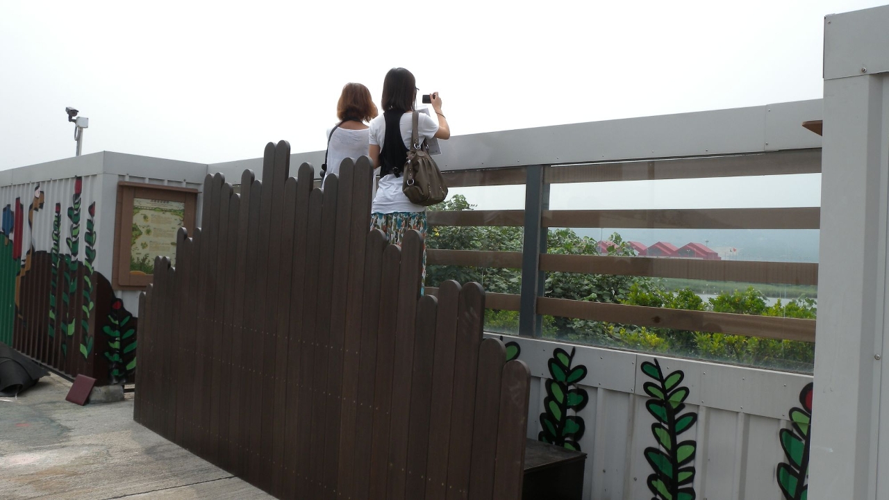 Degraus instalados para permitir uma melhor observação das aves e aos visitantes tirarem fotografias.