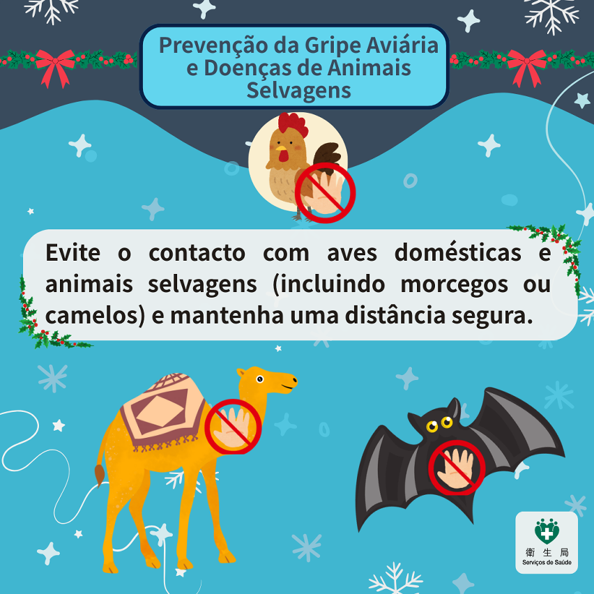 Infografia sobre dicas de viagem durante os feriados do Natal6