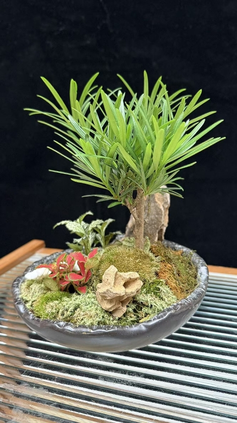 中式盆景工作坊