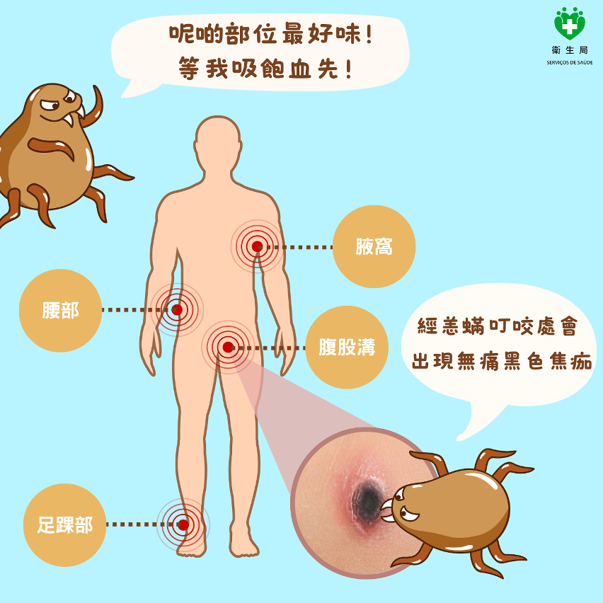 预防恙虫病知识图文包