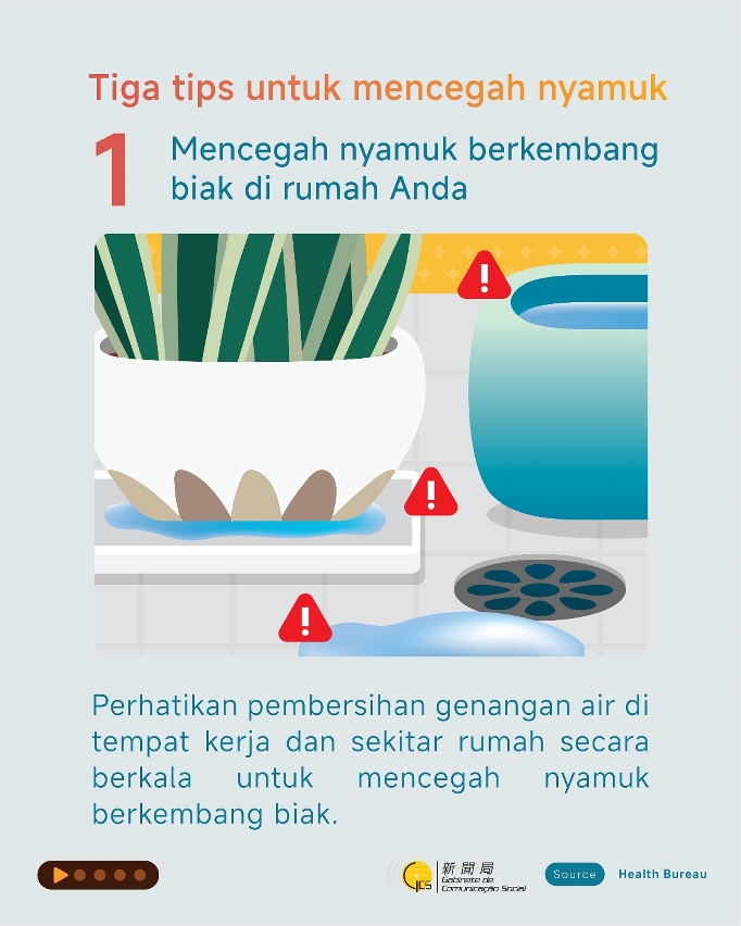 Prevenir a proliferação de mosquitos no domicílio