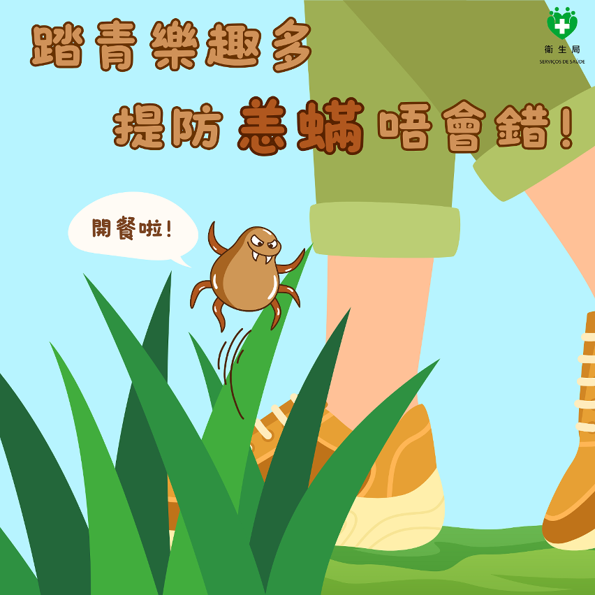 预防恙虫病知识图文包